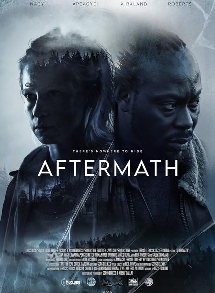 دانلود فیلم عواقب | Aftermath 2024