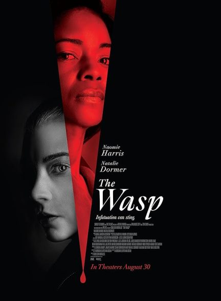 دانلود فیلم زنبور | The Wasp 2024