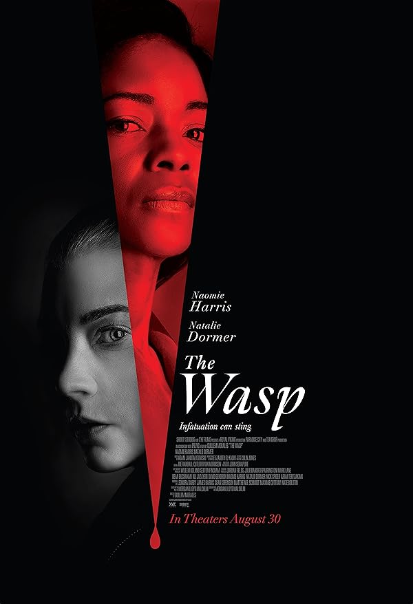 دانلود فیلم زنبور | The Wasp 2024