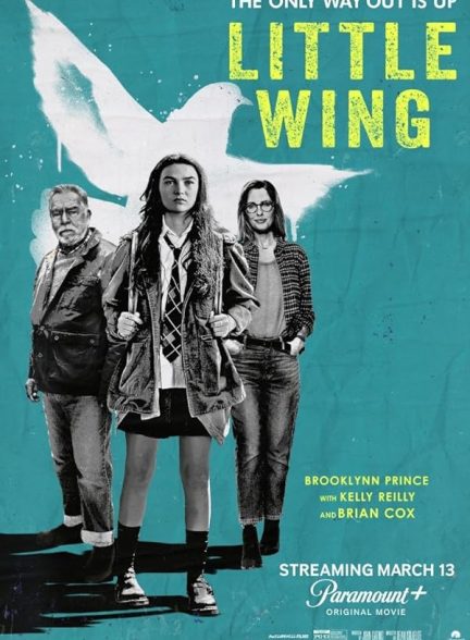 دانلود فیلم بال کوچک | Little Wing 2024