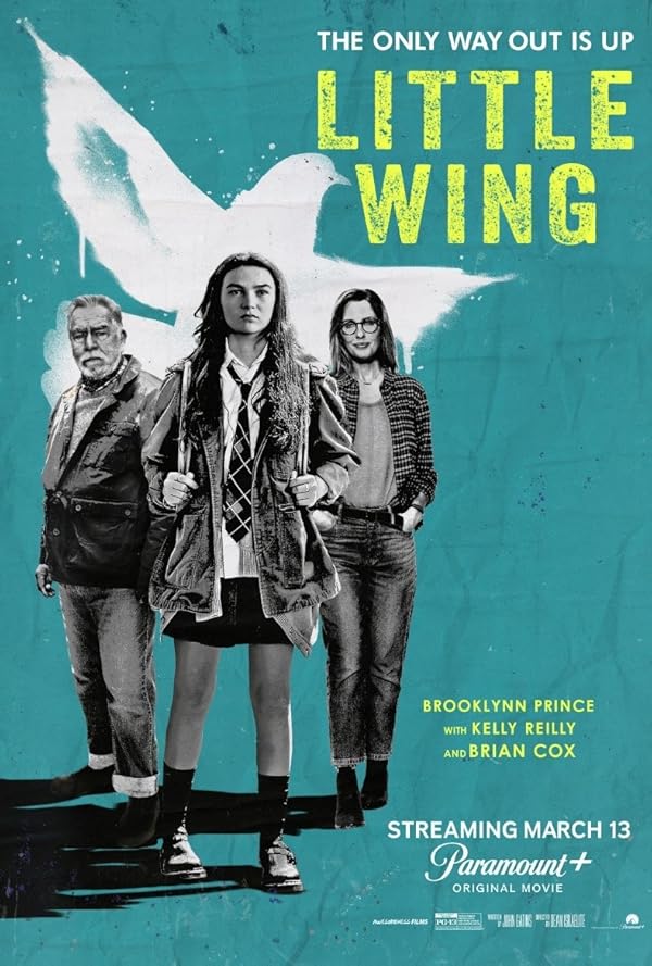 دانلود فیلم بال کوچک | Little Wing 2024