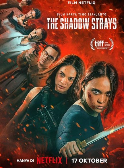 دانلود فیلم ولگرد سایه | The Shadow Strays 2024