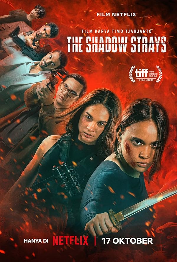 دانلود فیلم ولگرد سایه | The Shadow Strays 2024