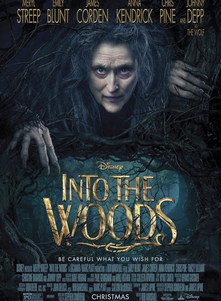 دانلود فیلم Into the Woods 2014