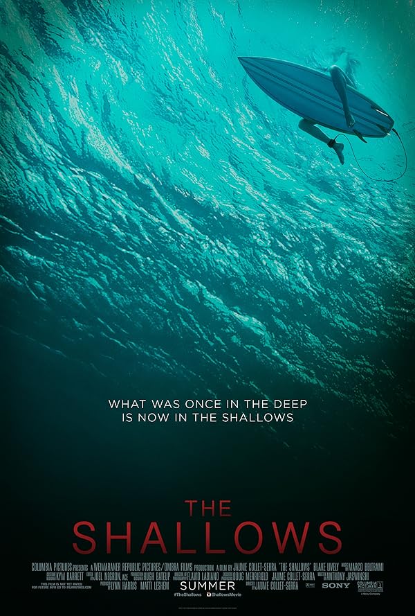 دانلود فیلم آبهای کم عمق | 2016 The Shallows