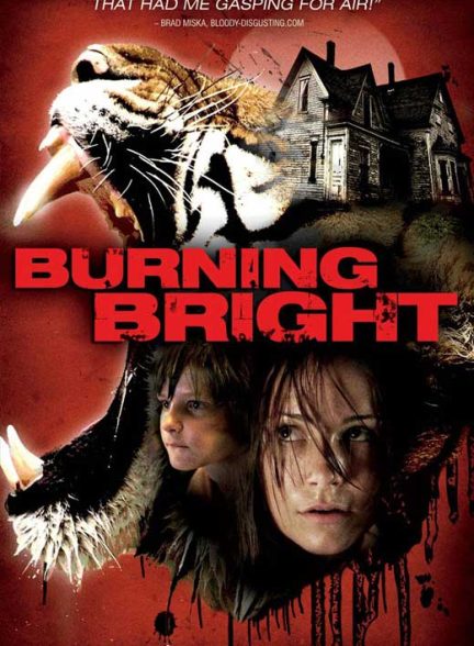 دانلود فیلم آتش درخشان | Burning Bright 2012