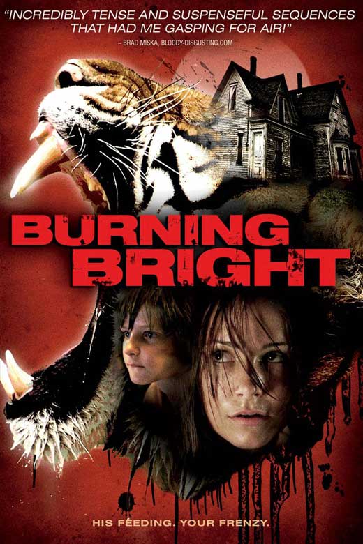 دانلود فیلم آتش درخشان | Burning Bright 2012