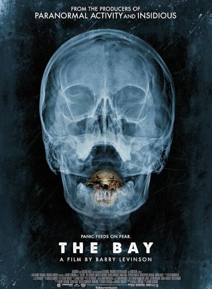 دانلود فیلم خلیج | The Bay 2012