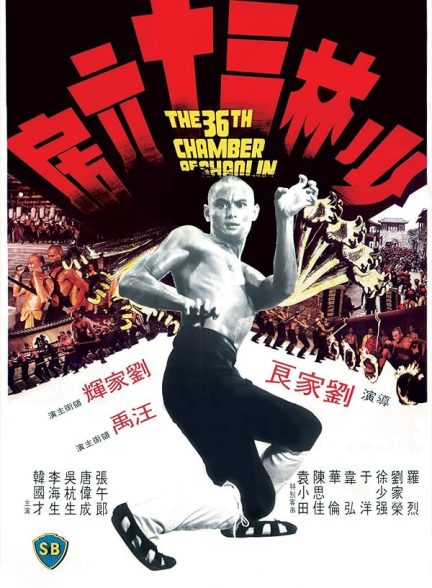 دانلود فیلم سی و ششمین اتاق شائولین 1978 | The 36th Chamber of Shaolin