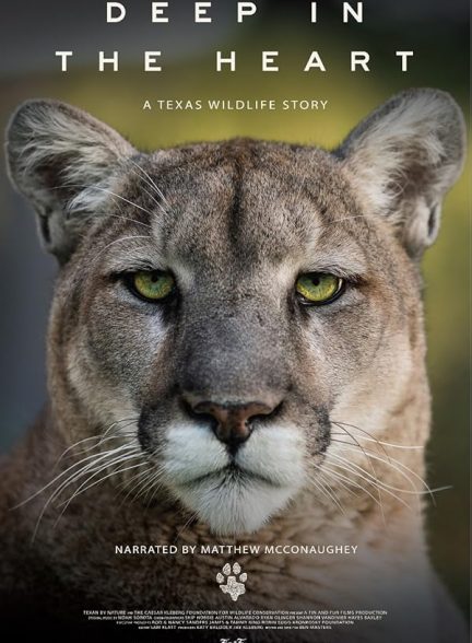 دانلود فیلم داستان حیات وحش تگزاس | Deep in the Heart: A Texas Wildlife Story 2022