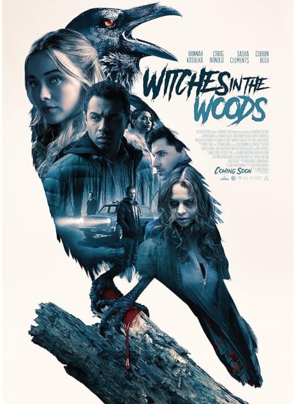 دانلود فیلم جادوگران در جنگل Witches in the Woods 2019