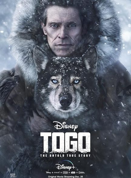 دانلود فیلم 2019 Togo